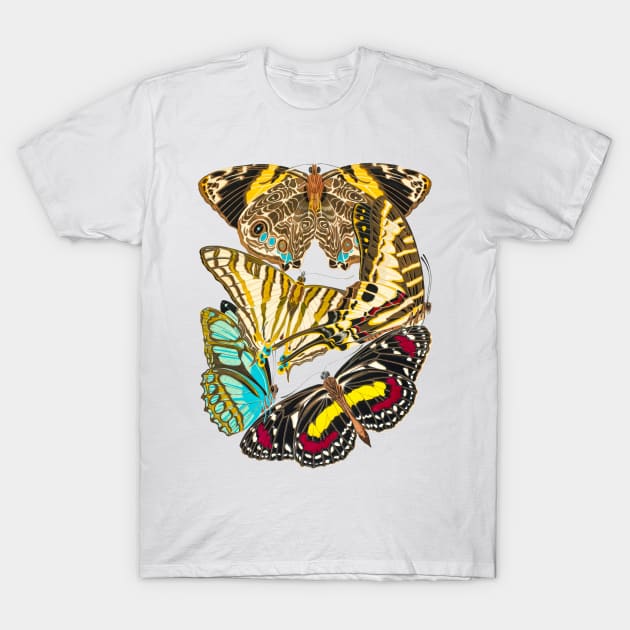 Butterflies Watercolor #2 T-Shirt by olemanner